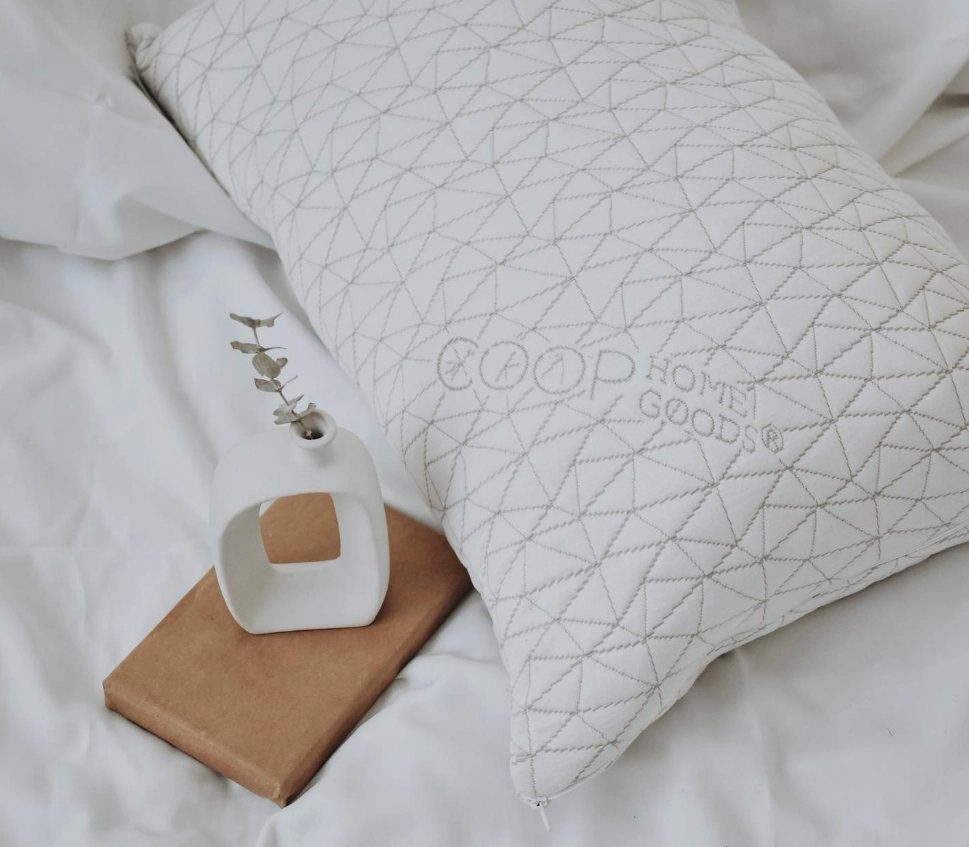 My Coop pillow photo