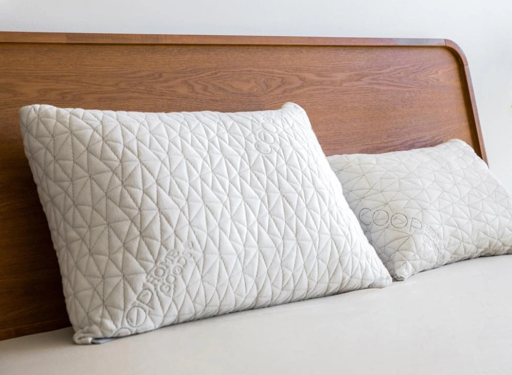 Coop pillows photo